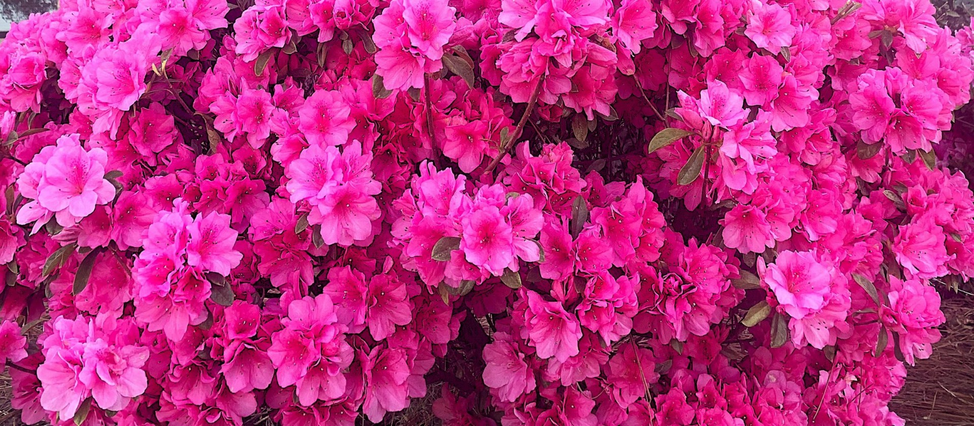 Banner Slide 1