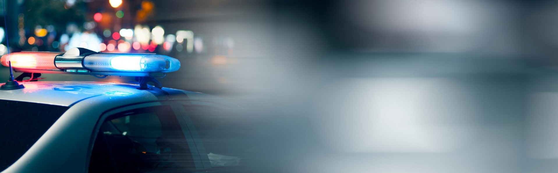 Banner Slide 1